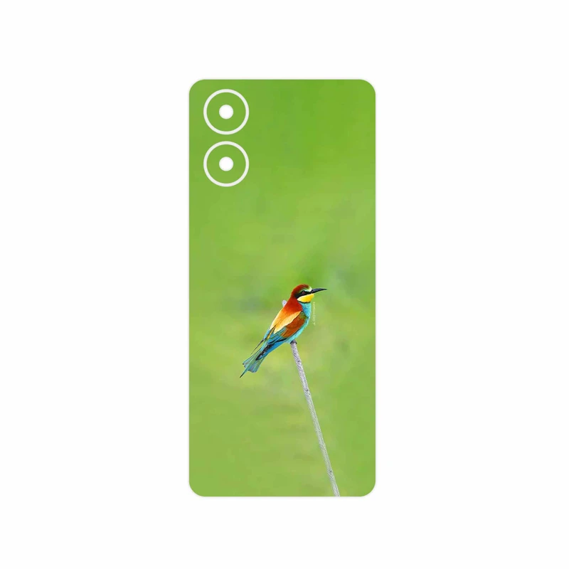 برچسب پوششی ماهوت مدل European bee-eater مناسب برای گوشی موبایل موتورولا Moto G04
