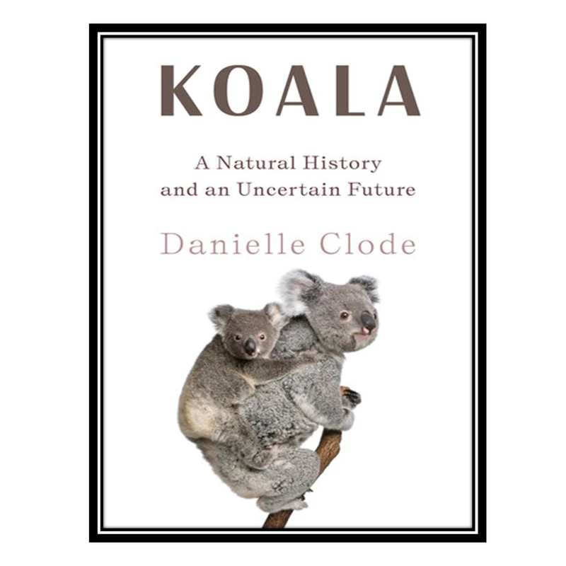 کتاب Koala: A Natural History and an Uncertain Future اثر Danielle Clode انتشارات مؤلفین طلایی