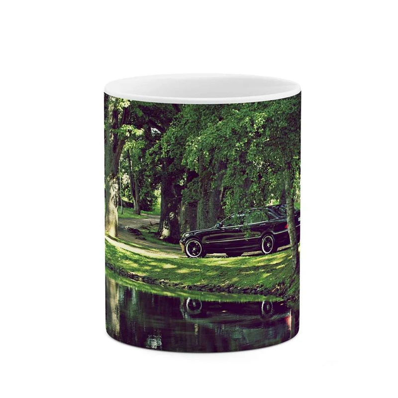 ماگ کاکتی مدل برکه کد mgh11239