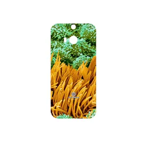 MAHOOT Atom Universe 6 Cover Sticker for HTC One M8