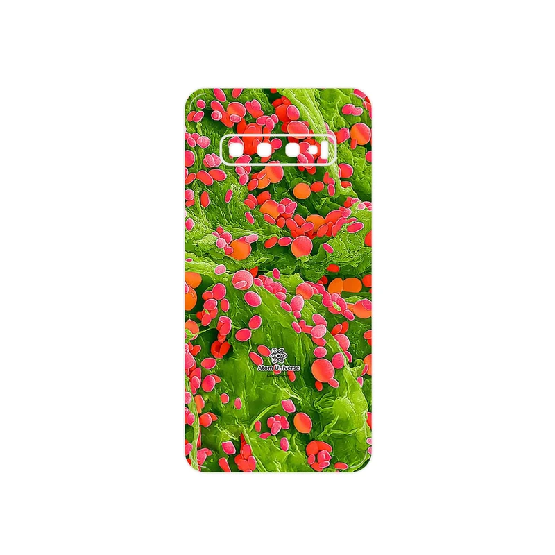 برچسب پوششی ماهوت مدل Atom Universe 3 مناسب برای گوشی موبایل سامسونگ Galaxy S10