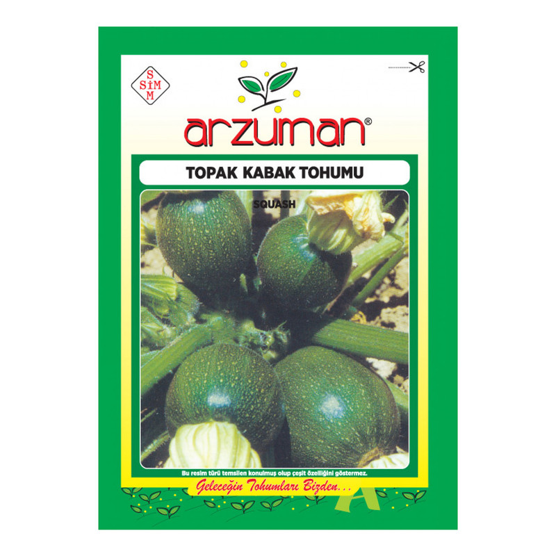 بذر کدو گرد آرزومان کد 11589