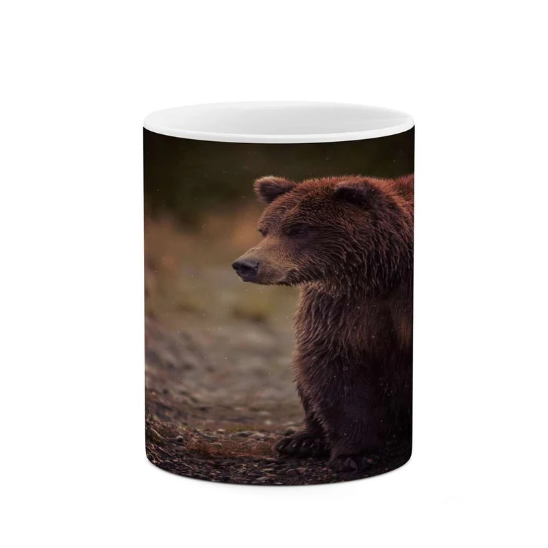 ماگ کاکتی مدل خرس کد mgh14698