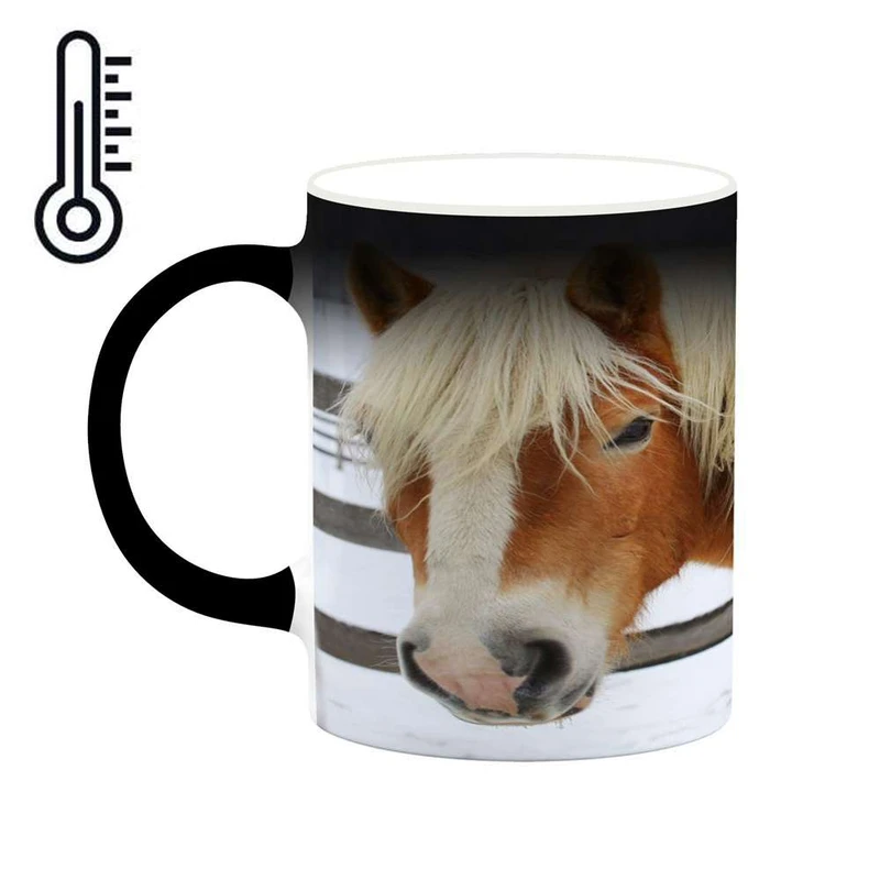 ماگ حرارتی کاکتی مدل اسب کد mgh24271