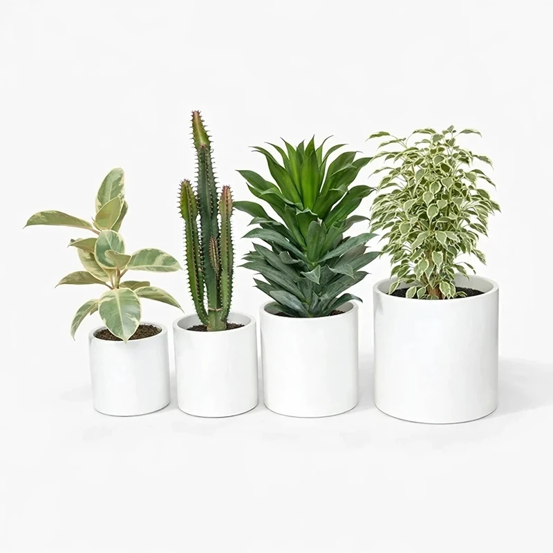 گیاه طبیعی آپارتمانی مدل NR1306 مجموعه 4 عددی