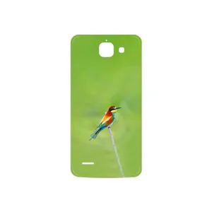 MAHOOT European bee-eater Cover Sticker for Huawei Ascend G730