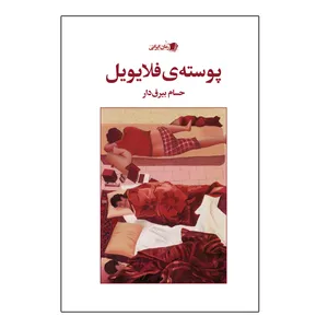کتاب پوسته ی فلایویل اثر حسام بیرق دار نشر سیب سرخ