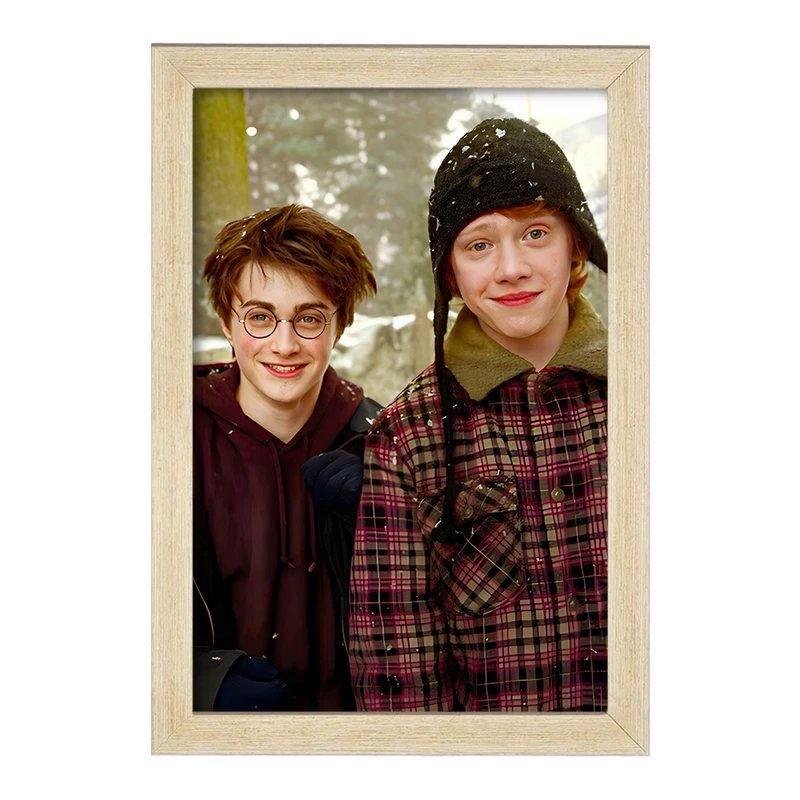 تابلو خندالو مدل هری پاتر (Harry Potter) کد F6004