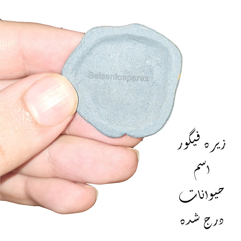 فیگور مدل اهلی طرح استوانه ای کد 666/267 مجموعه 15 عددی