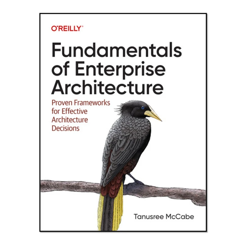 کتاب Fundamentals of Enterprise Architecture اثر Tanu McCabe انتشارات آوای مؤلف