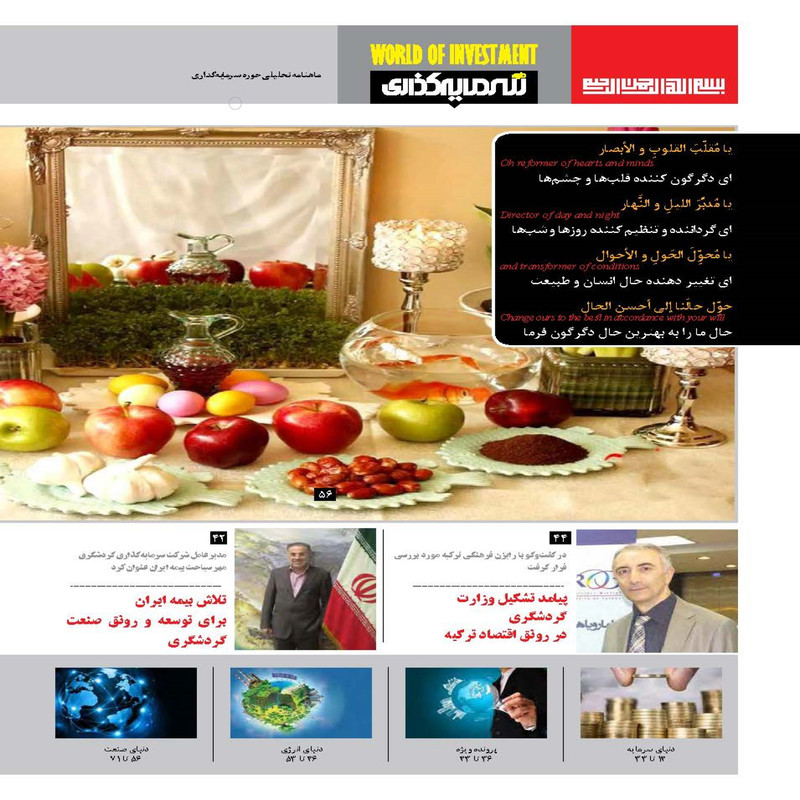 ماهنامه دنیای سرمایه گذاری شماره 17