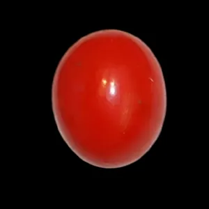 سنگ مرجان دریایی کد 7500