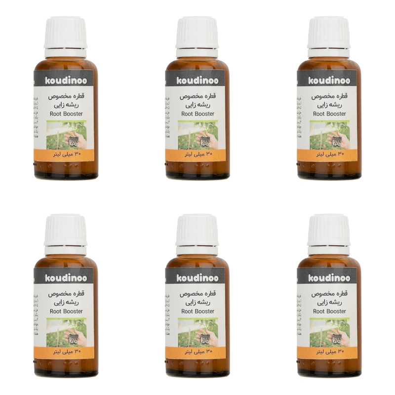   هورمون ریشه زایی کودینو مدل Root Booster  حجم 30 میلی لیتر بسته 6 عددی