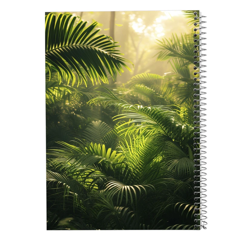 دفتر مشق 50 برگ مدوپد مدل برگ کد DF15557