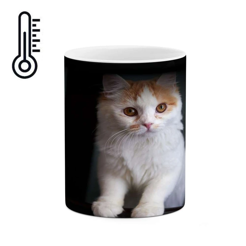 ماگ حرارتی کاکتی مدل گربه کد mgh17305