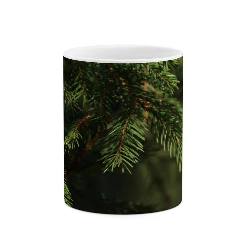 ماگ کاکتی مدل برگ کد mgh14616