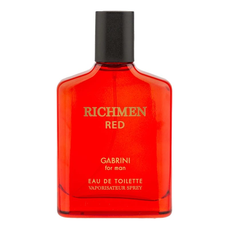 ادو تویلت مردانه گابرینی مدل Richmen با رایحه گرم حجم 100 میلی لیتر