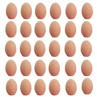 تخم مرغ سفالی مدل خام کد 03 بسته 30 هددی