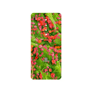 MAHOOT Atom Universe 3 Cover Sticker for OnePlus 8