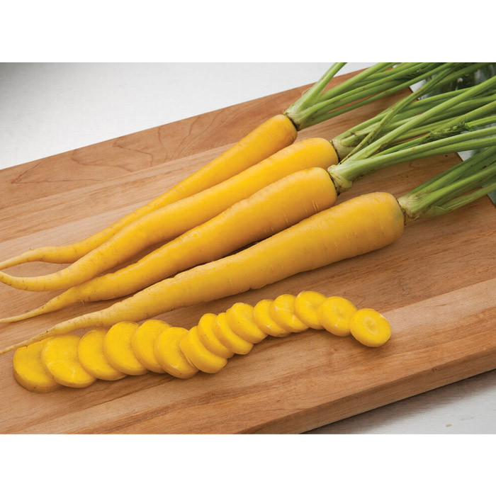 بذر هویج زرد گلس گاردن مدل GL200