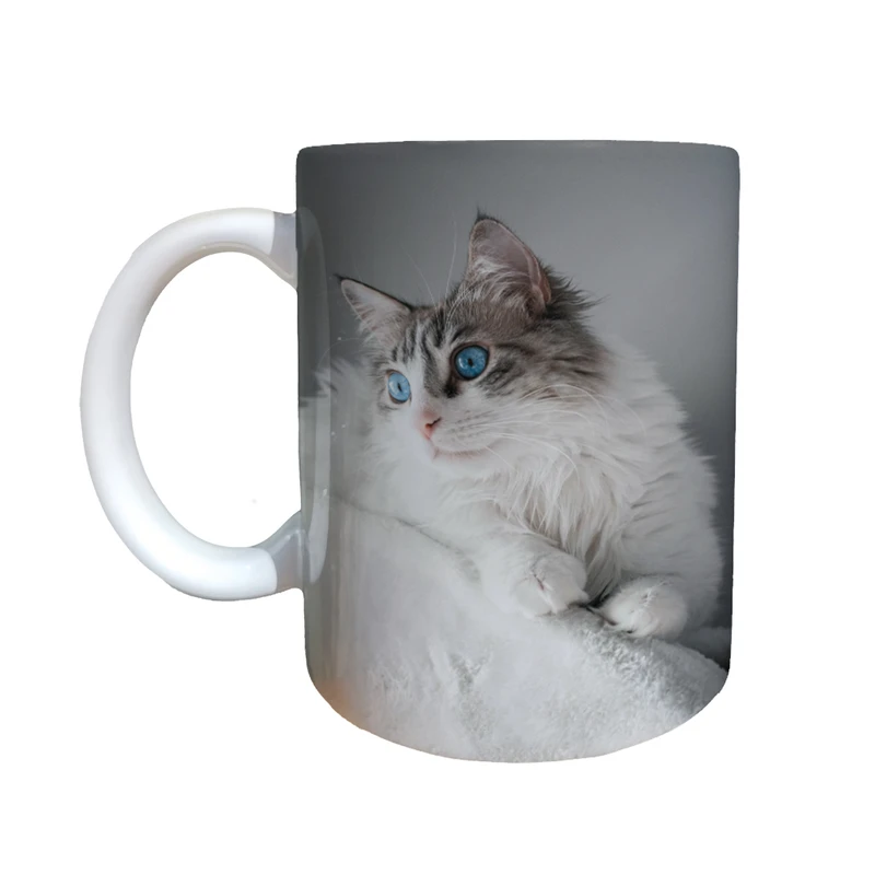 ماگ مدل گربه کد M15