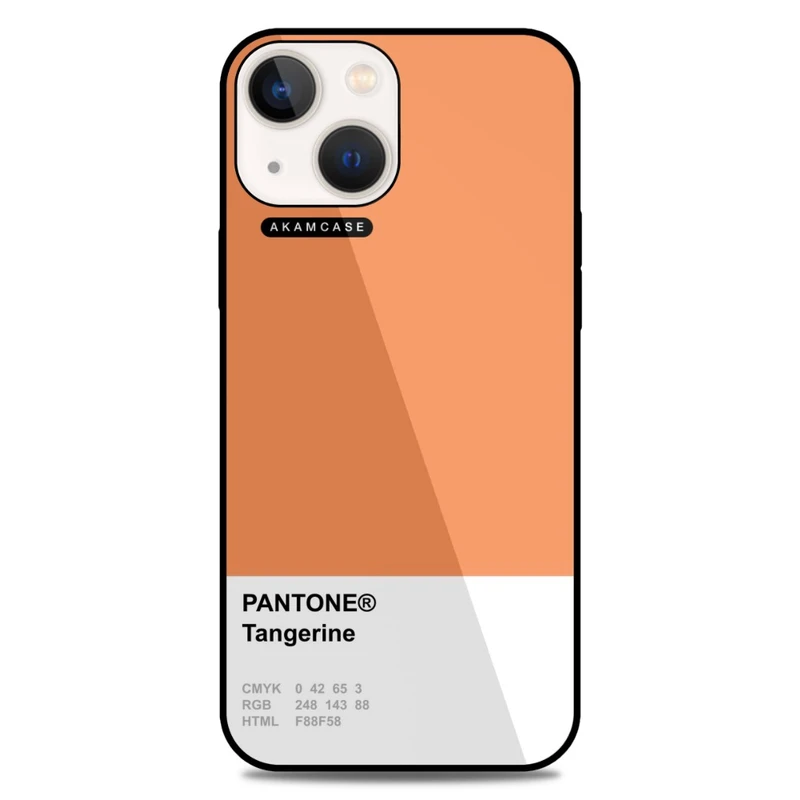 کاور آکام مدل AMC-WA13-PANTONE-11 مناسب برای گوشی موبایل اپل iPhone 13