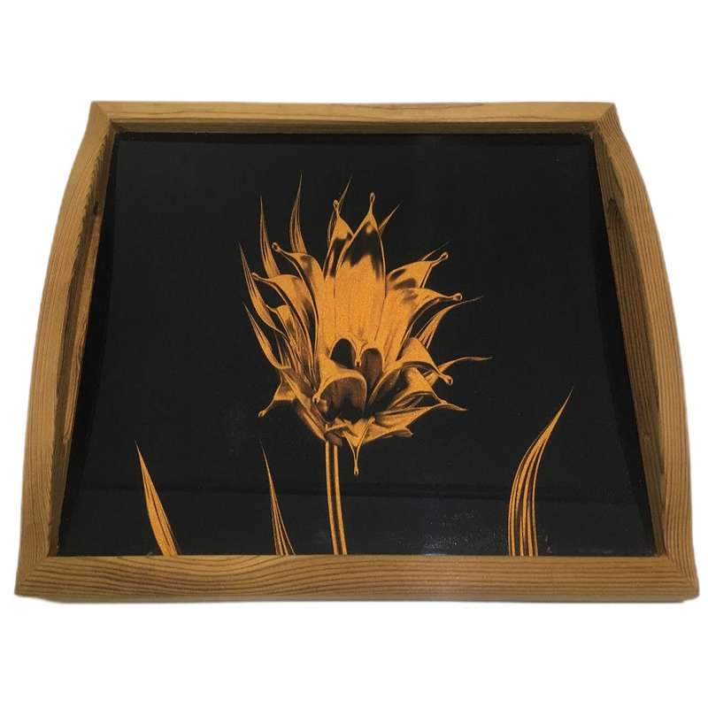 سینی مدل ترمو کد 10