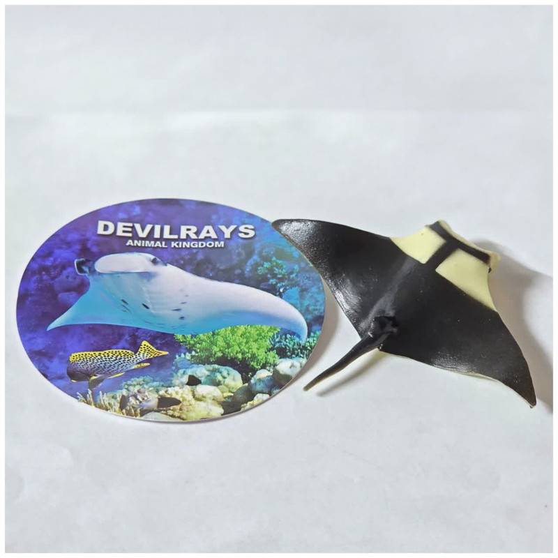 فیگور ناب سل مدل سفره ماهی کد DEVILRAYS NAAB035 ارتفاع 2 سانتی متر