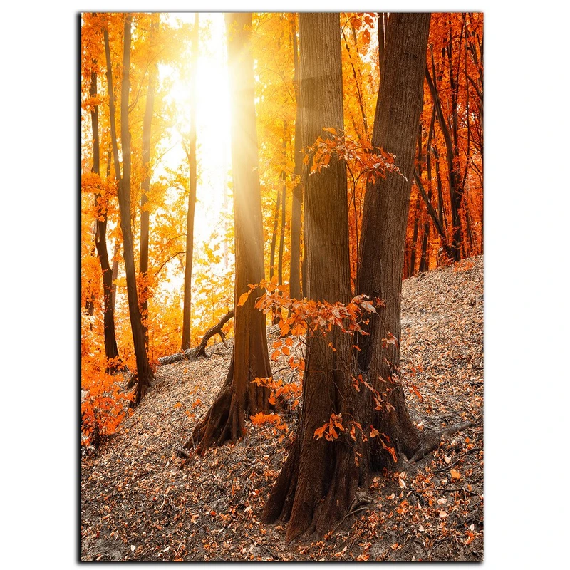 تابلو شاسی بکلیت طرح جنگل پاییزی مدل SH-S1126