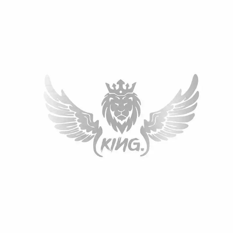 برچسب بدنه خودرو رادیانس طرح LionFly کد B36