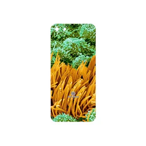 MAHOOT Atom Universe 6 Cover Sticker for Honor 7S