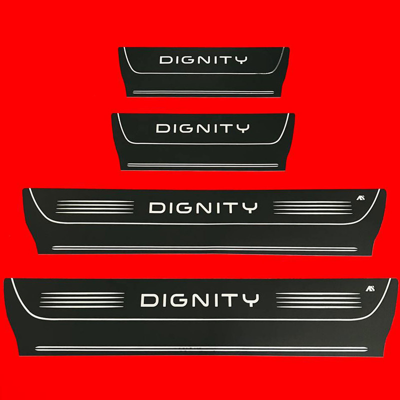 پارکابی خودرو مدل LS مناسب برای دیگنیتی مجموعه 4 عددی