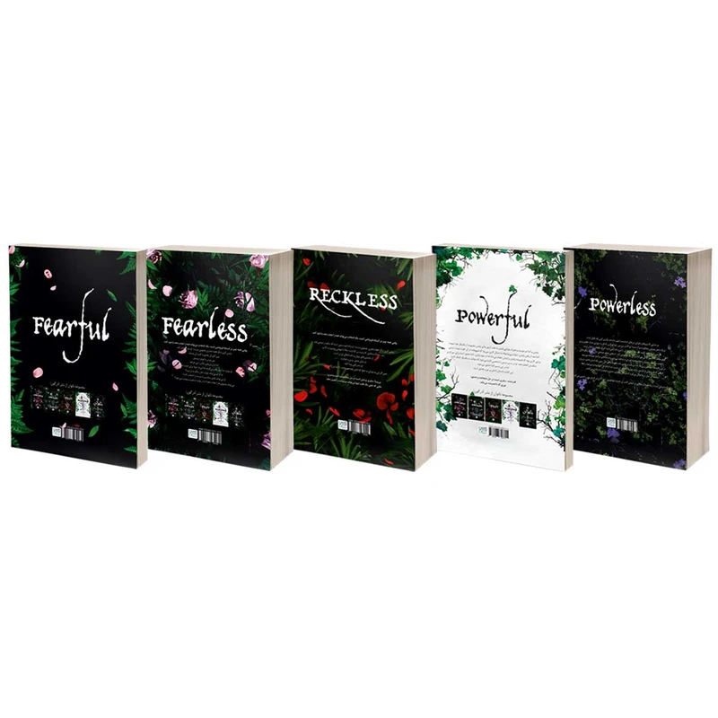 عکس شماره 3 : کتاب ناتوان، قدرتمند، بی پروا، بی باک و بیمناک اثر لورن رابرتس نشر آذرگون 5 جلدی