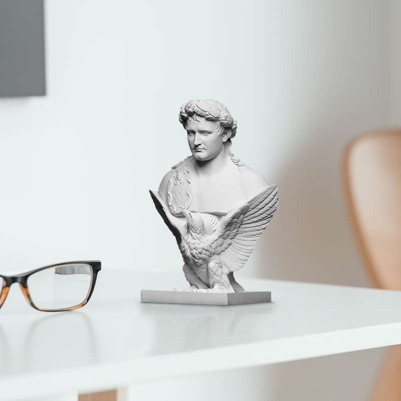 تندیس مدل ناپلئون