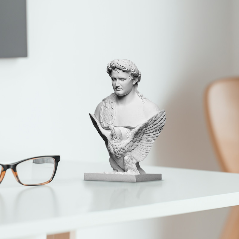 تندیس مدل ناپلئون