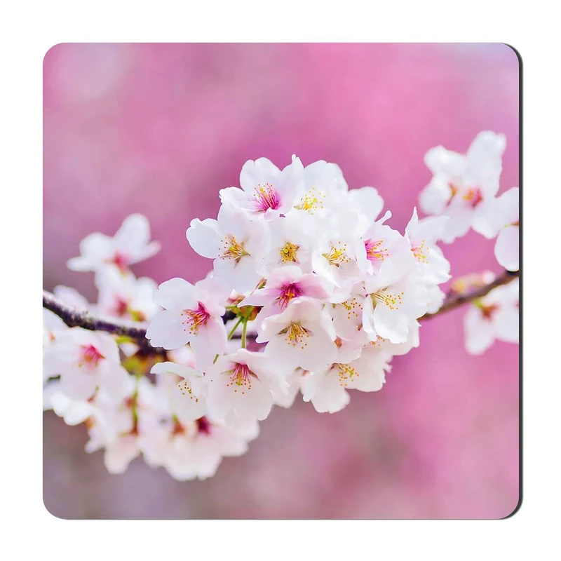 مگنت گالری باجو طرح گل کد flower 60