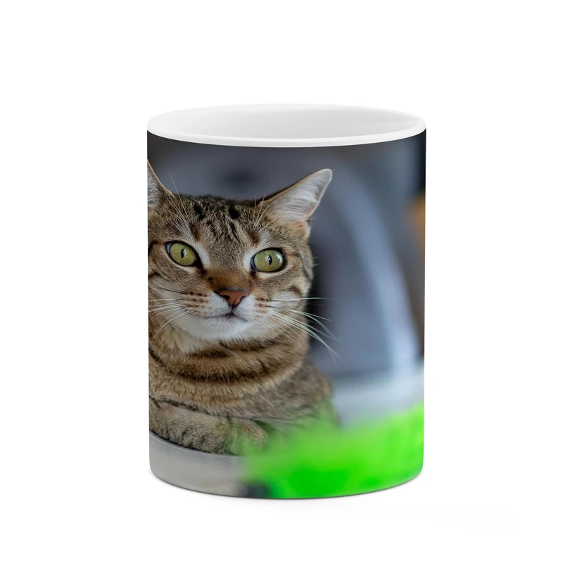 ماگ کاکتی مدل گربه کد mgh17429