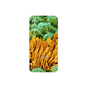 MAHOOT Atom Universe 6 Cover Sticker for Samsung Galaxy A2 Core