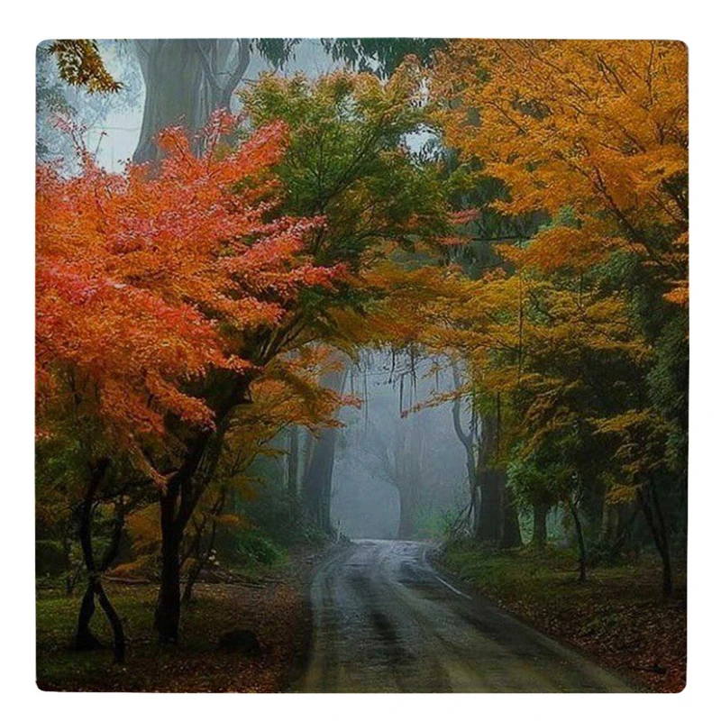  زیر لیوانی  طرح جاده پاییزی کد    4983166_3862