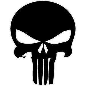 استیکر لپ تاپ طرح Skull of Punishment کد ST1660