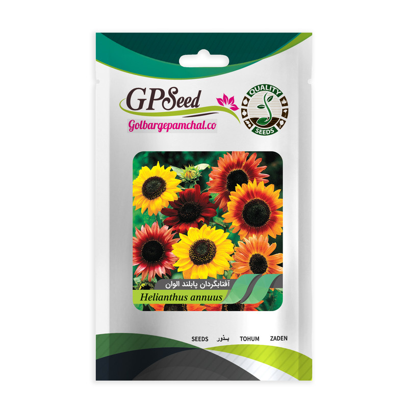 بذر گل آفتابگردان الوان گلبرگ پامچال کد GPF-007
