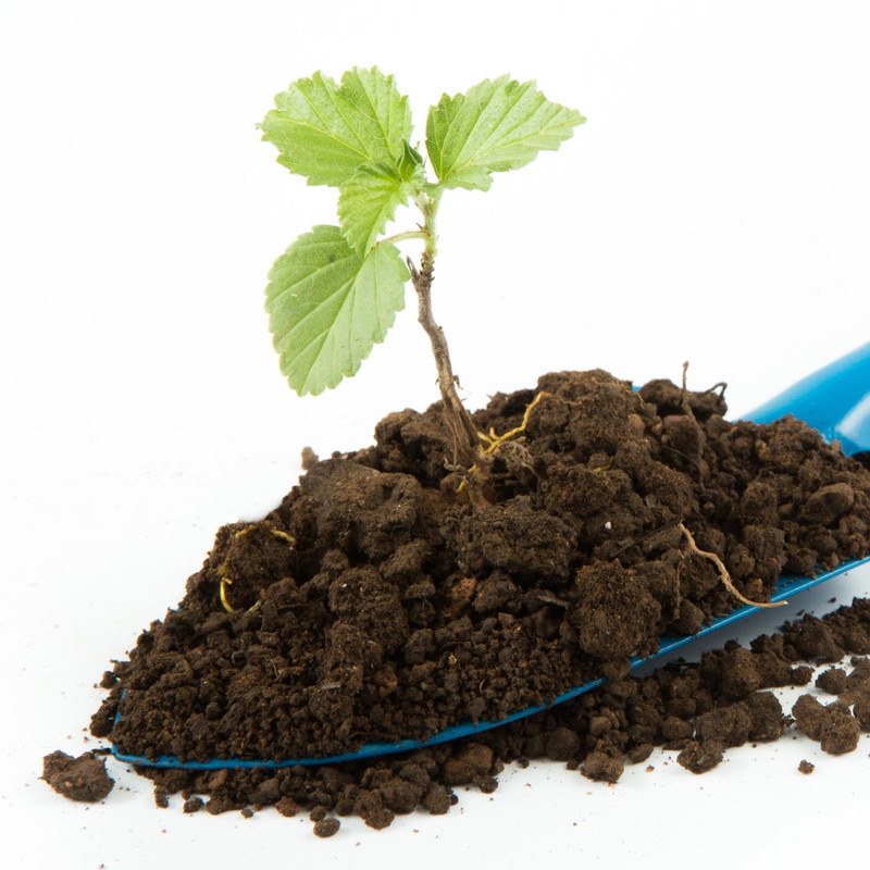 بیلچه مدل BilchB