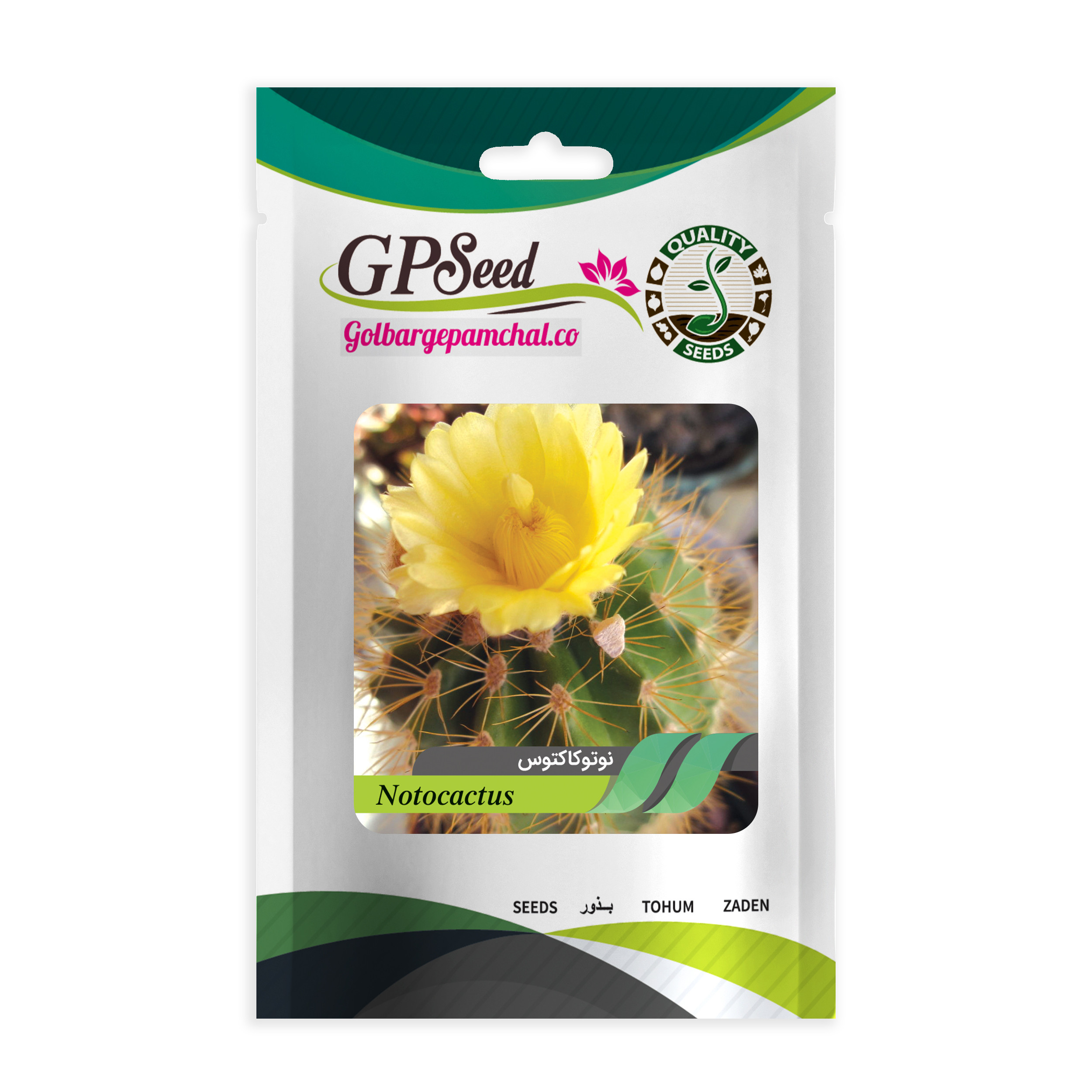 بذر نوتو کاکتوس گلبرگ پامچال کد GPF-190