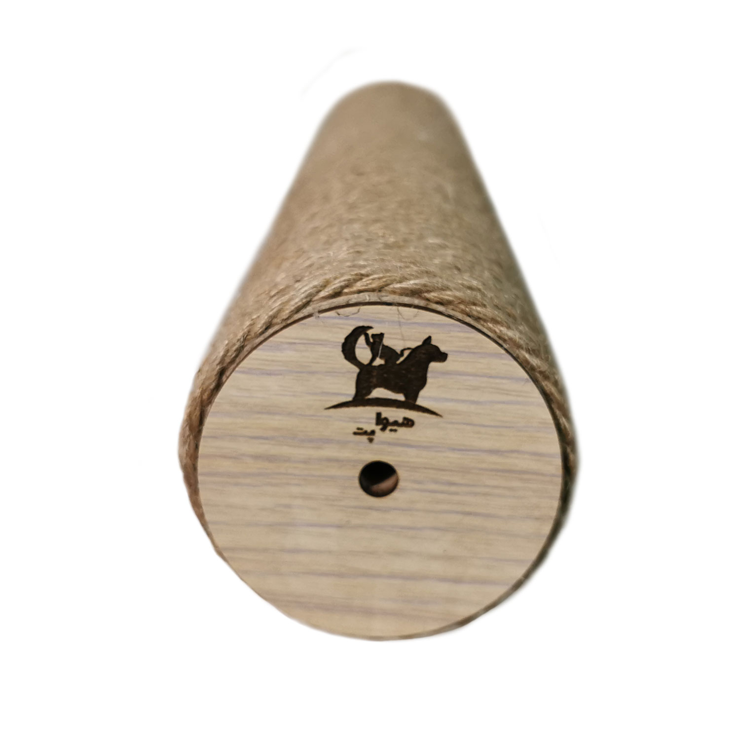 اسکرچر گربه هیوا پت مدل B34