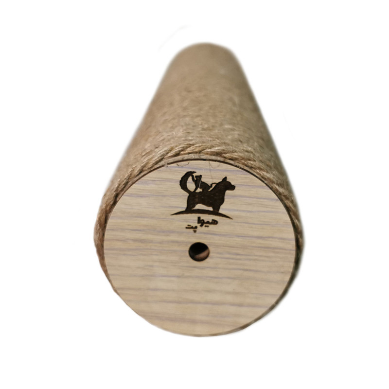 اسکرچر گربه هیوا پت مدل B36