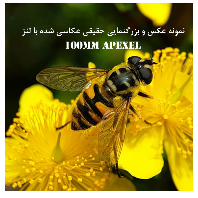 لنز کلیپسی موبایل اپیکسل مدل Super Macro 100mm