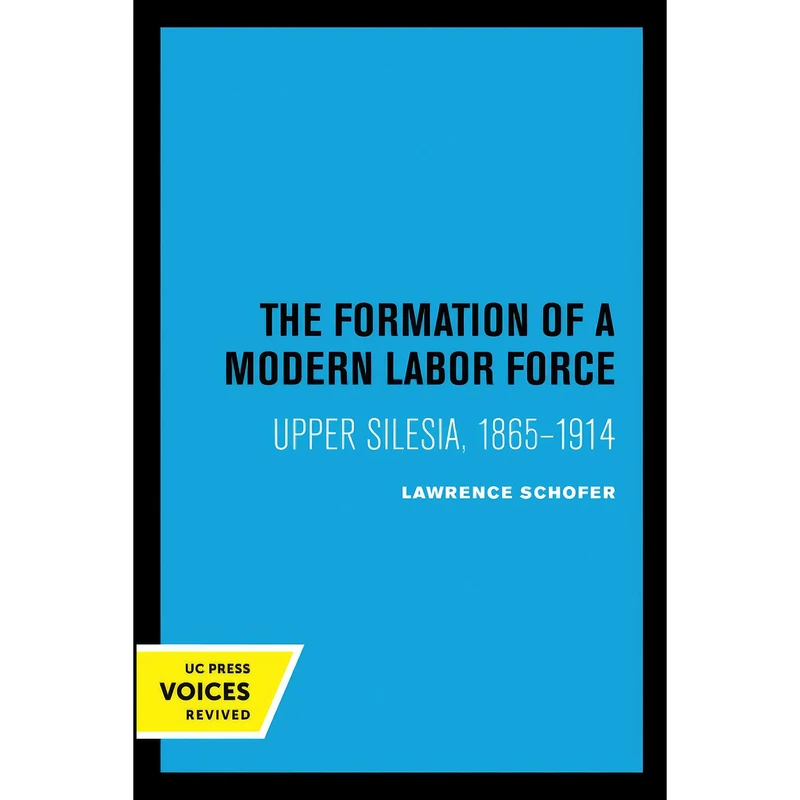 کتاب Formation of a Modern Labor Force اثر Lawrence Schofer انتشارات تازه ها