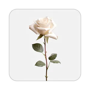 زیر لیوانی کاکتی طرح گل مدل mp18951