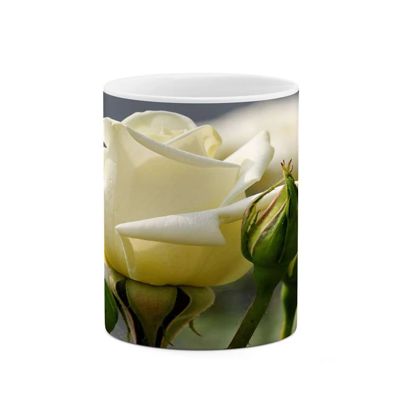 ماگ کاکتی مدل گل کد mgh15600