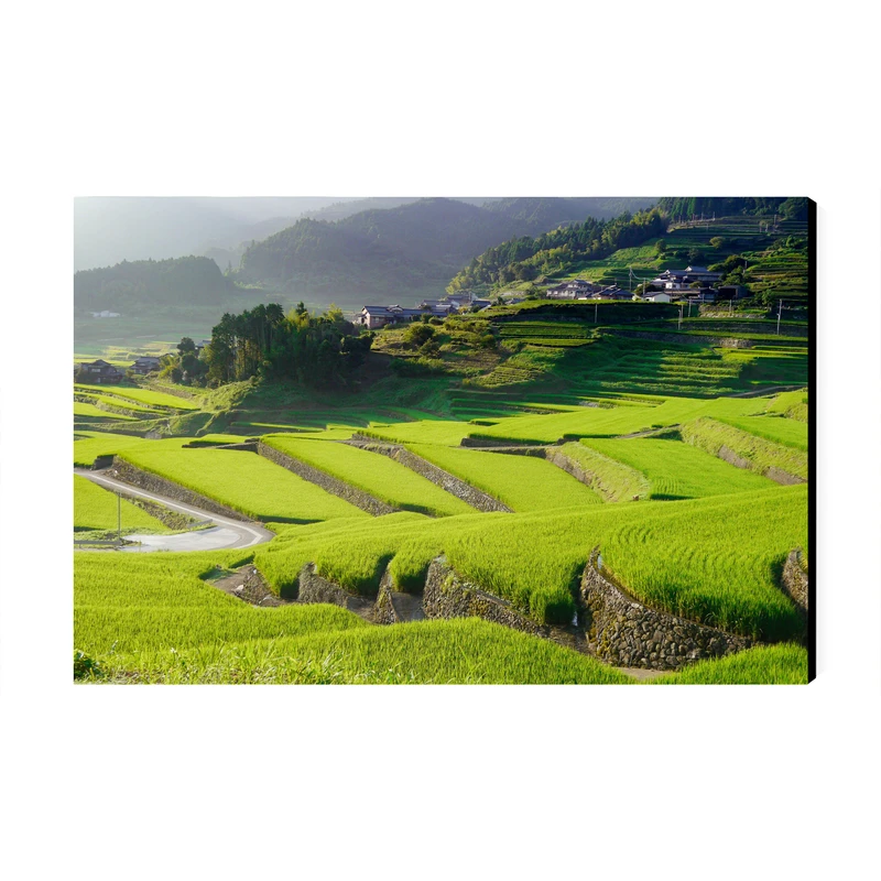 تابلو شاسی عرش طرح گردشگری ژاپن مدل تراس برنج اویاما کد As6225